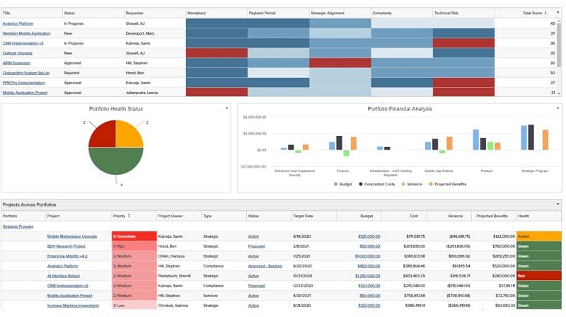 Ensure strategic delivery across project portfolio goals, business objectives, and the work to achieve project portfolio management success.