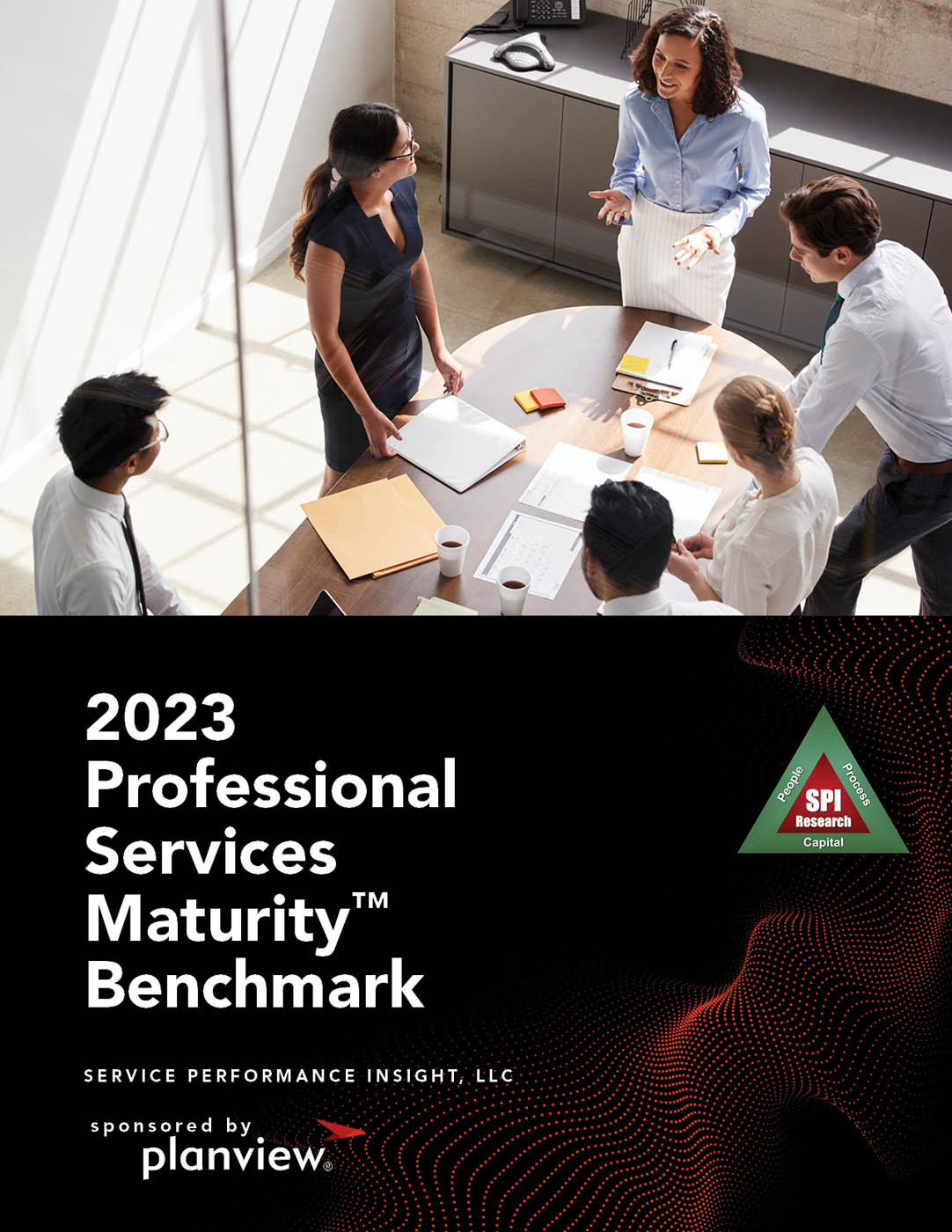 Étude comparative SPI Professional Services Maturity™ 2024