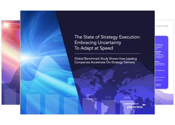 Slides from The State of Strategy Execution report